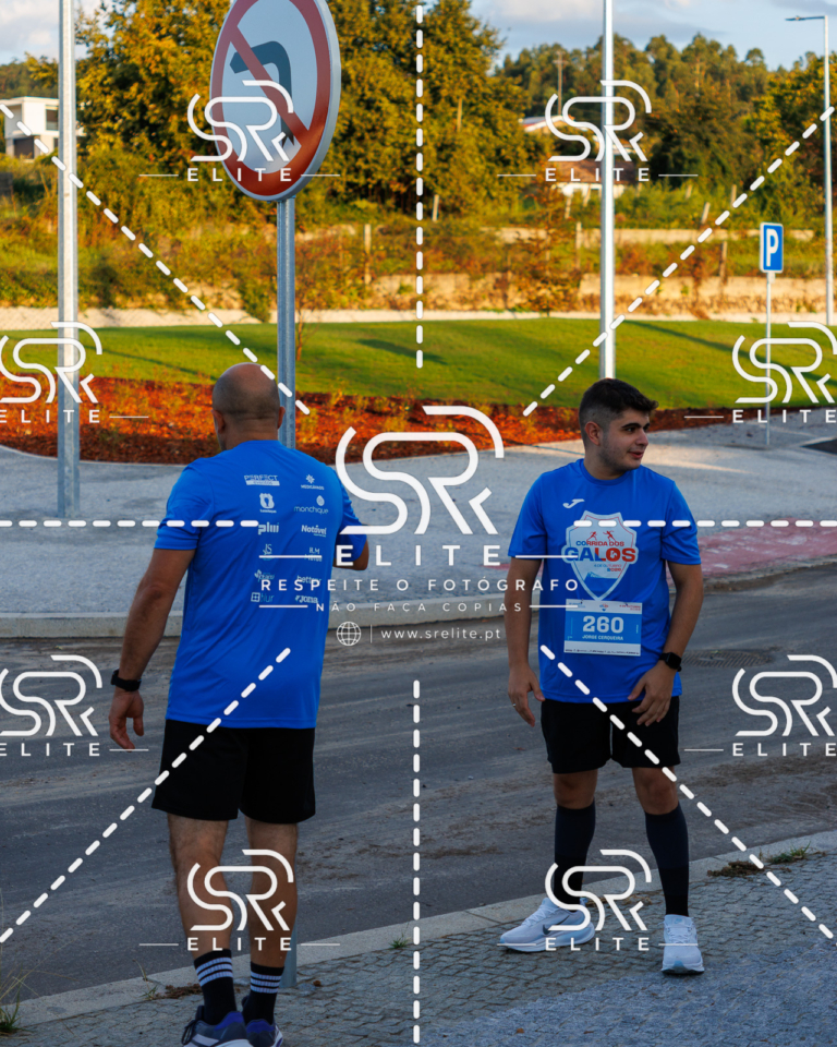 Preview com marca de água da fotografia galos-002
