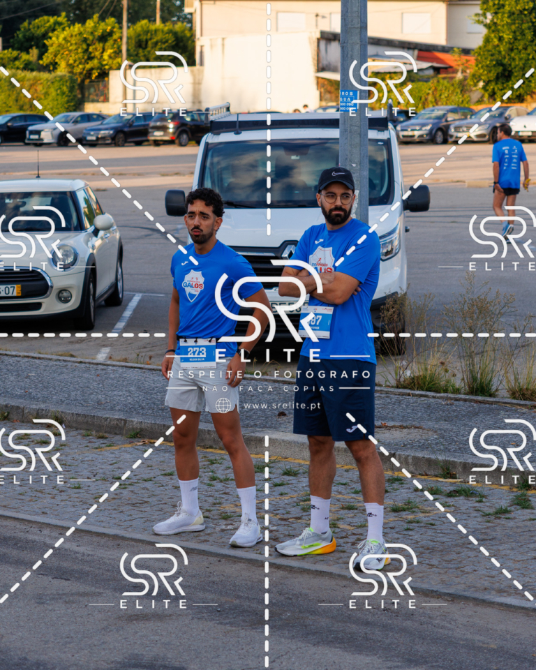 Preview com marca de água da fotografia galos-003