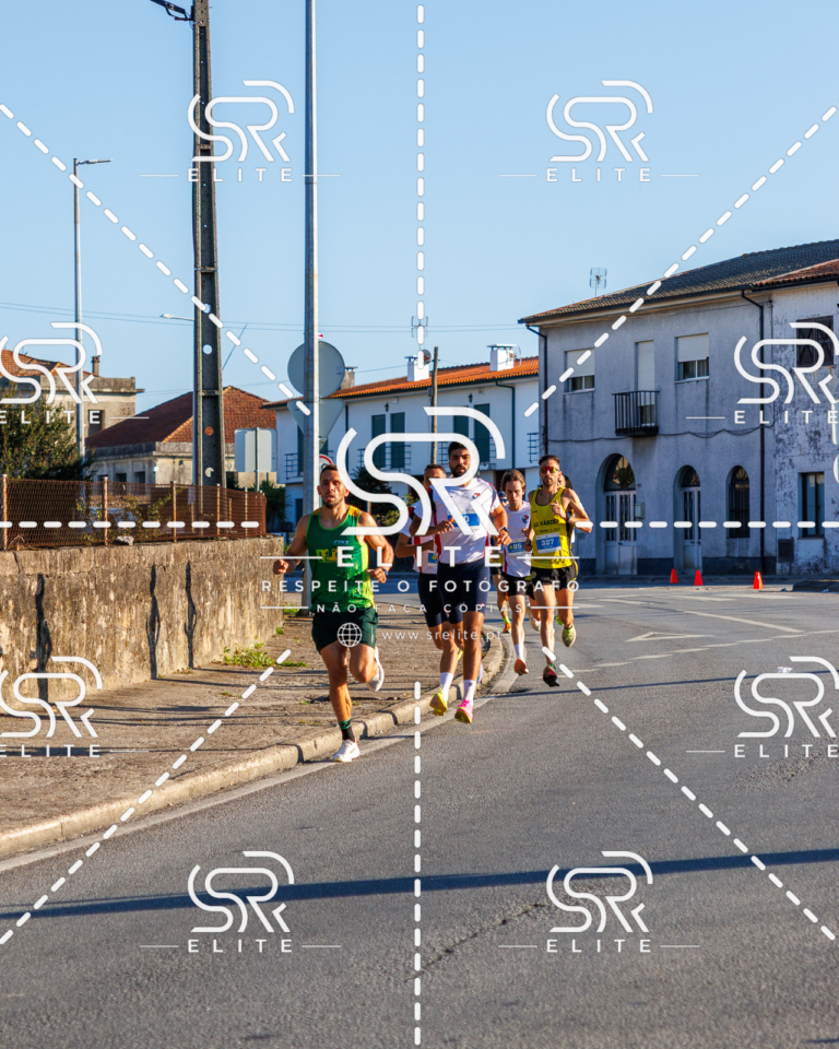 Preview com marca de água da fotografia galos-037