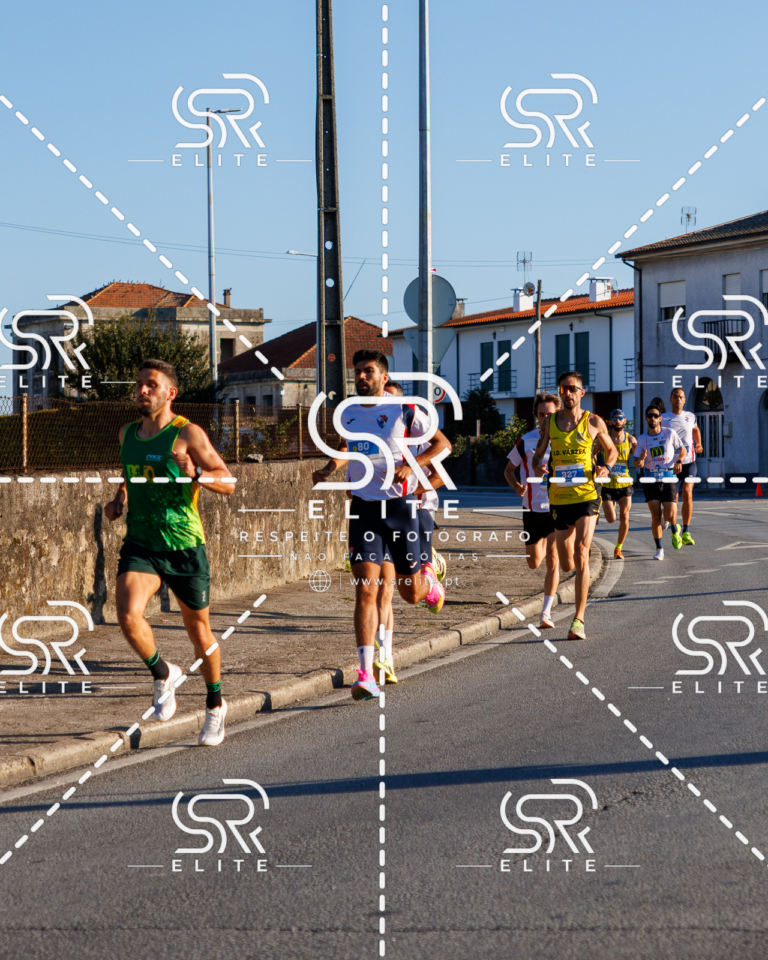 Preview com marca de água da fotografia galos-038
