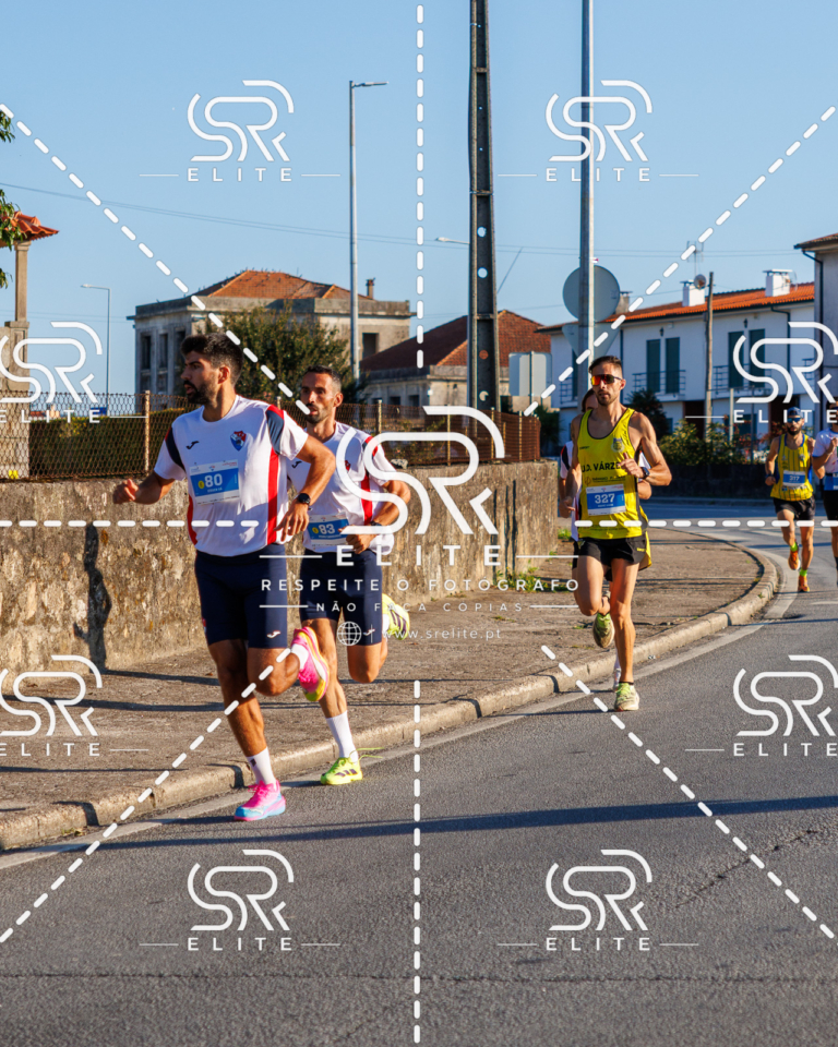 Preview com marca de água da fotografia galos-039