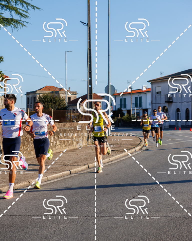 Preview com marca de água da fotografia galos-040