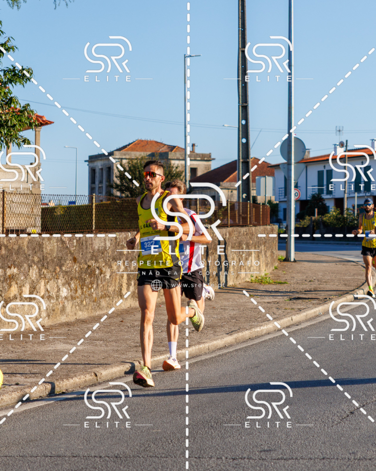Preview com marca de água da fotografia galos-041