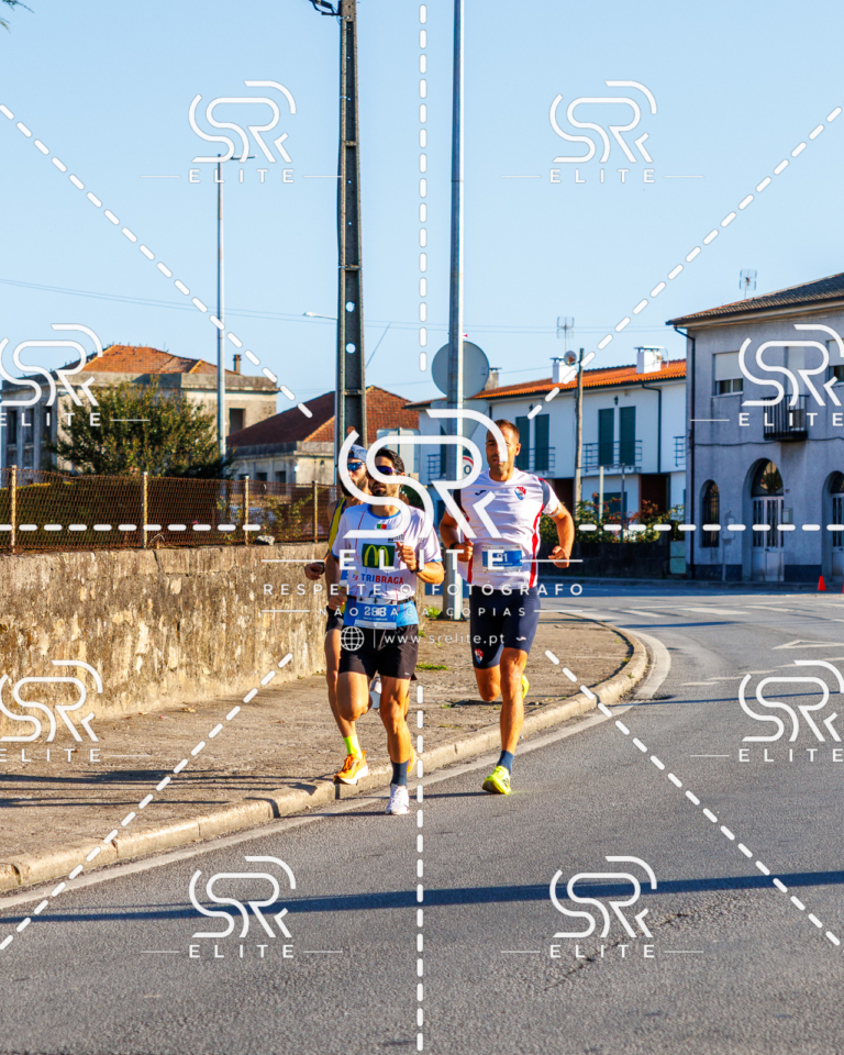 Preview com marca de água da fotografia galos-042