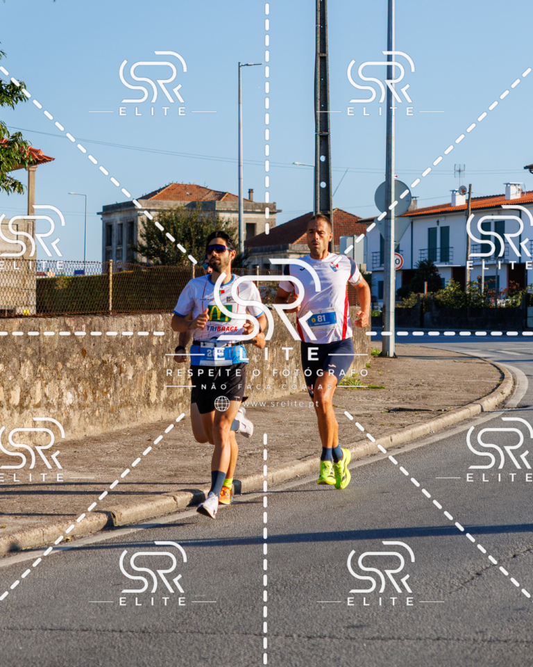Preview com marca de água da fotografia galos-043