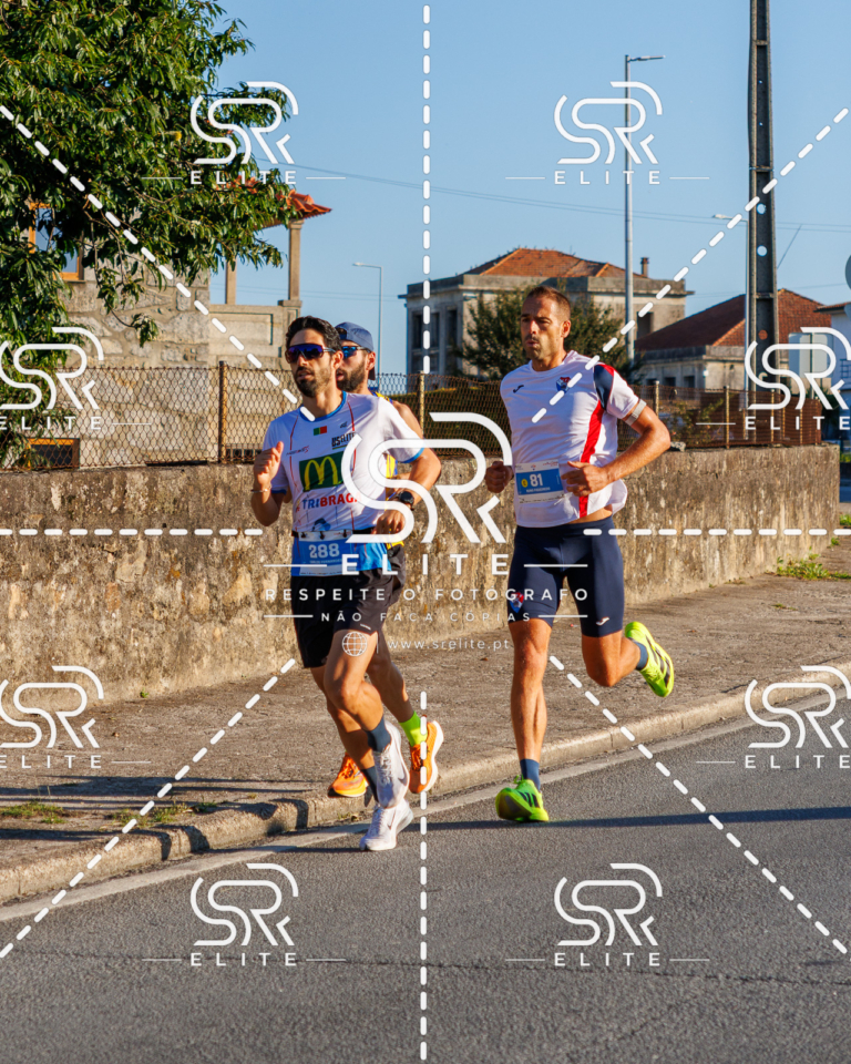 Preview com marca de água da fotografia galos-044