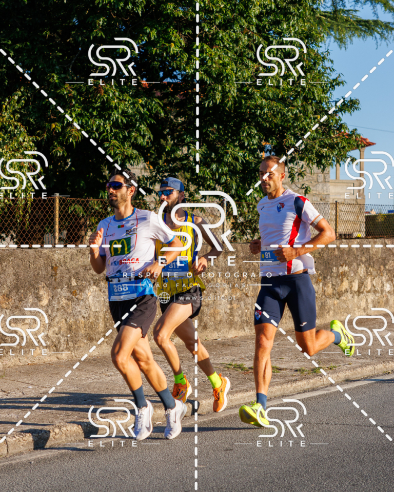 Preview com marca de água da fotografia galos-045