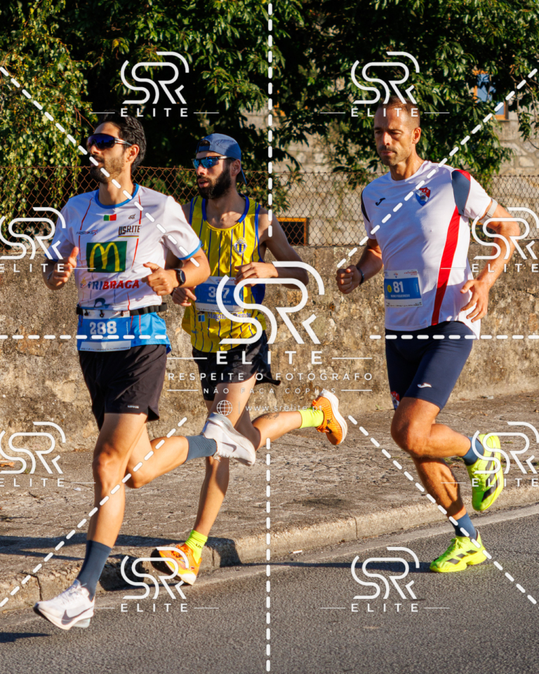 Preview com marca de água da fotografia galos-046