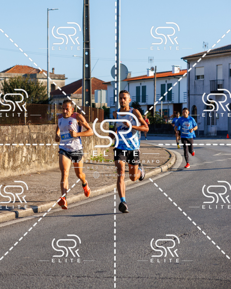 Preview com marca de água da fotografia galos-048