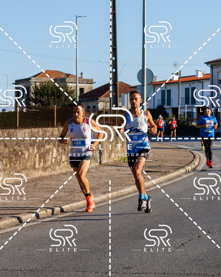 Preview com marca de água da fotografia galos-049