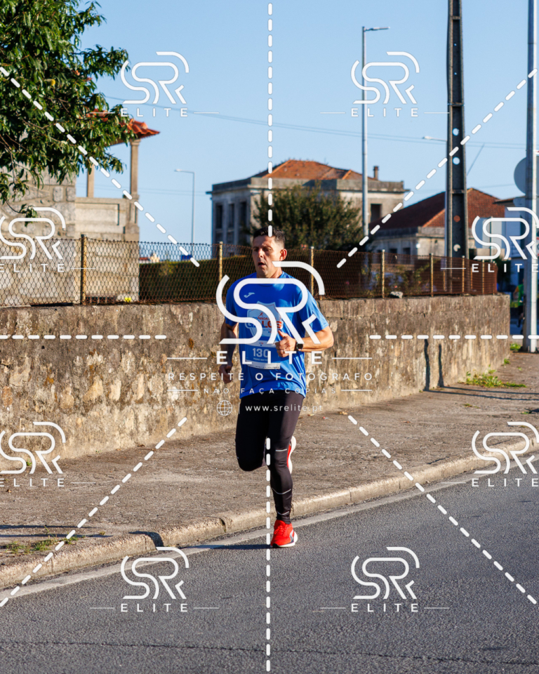 Preview com marca de água da fotografia galos-050