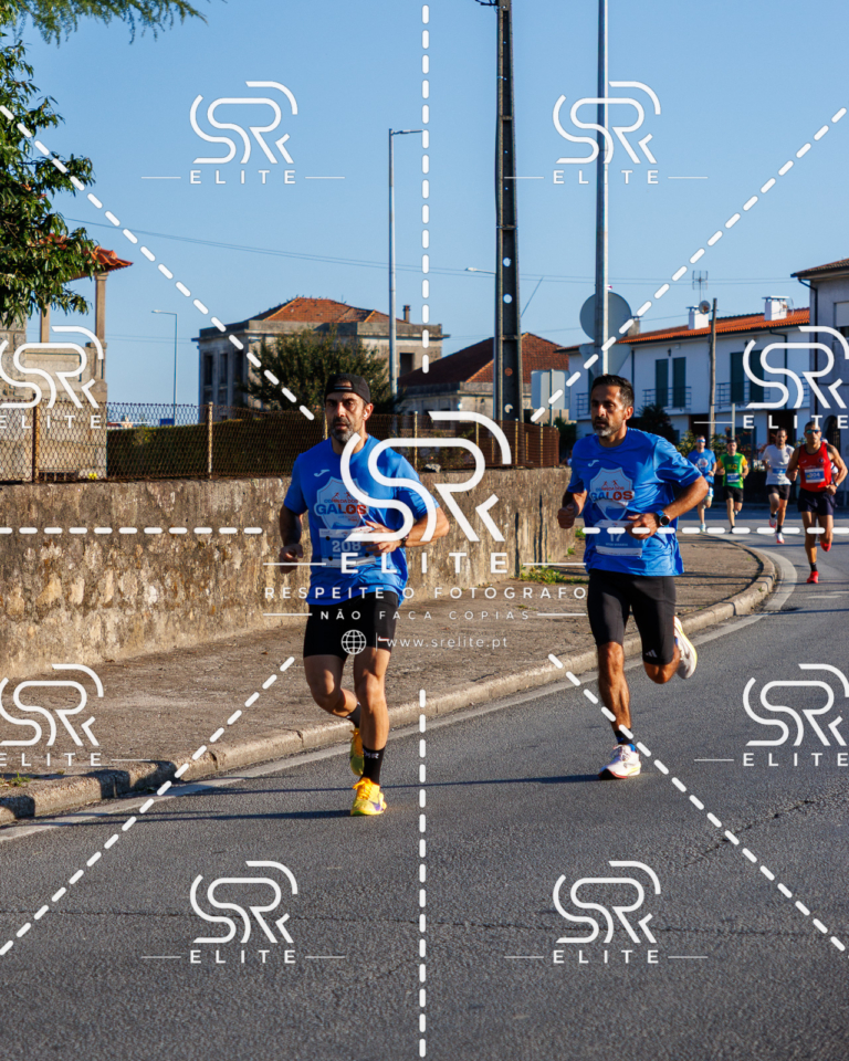 Preview com marca de água da fotografia galos-051