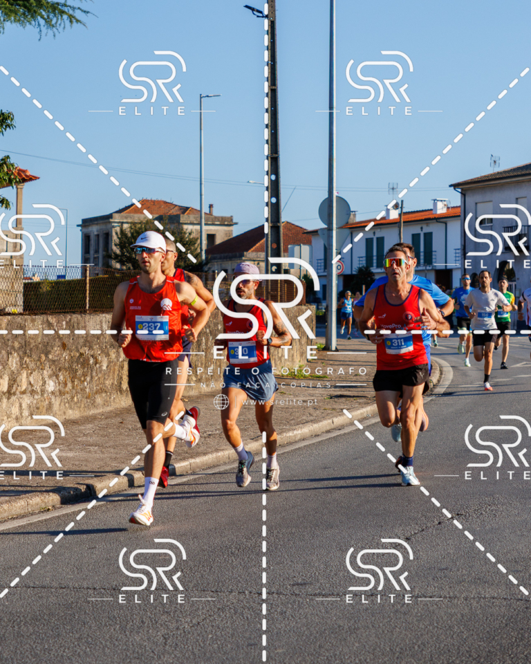 Preview com marca de água da fotografia galos-052