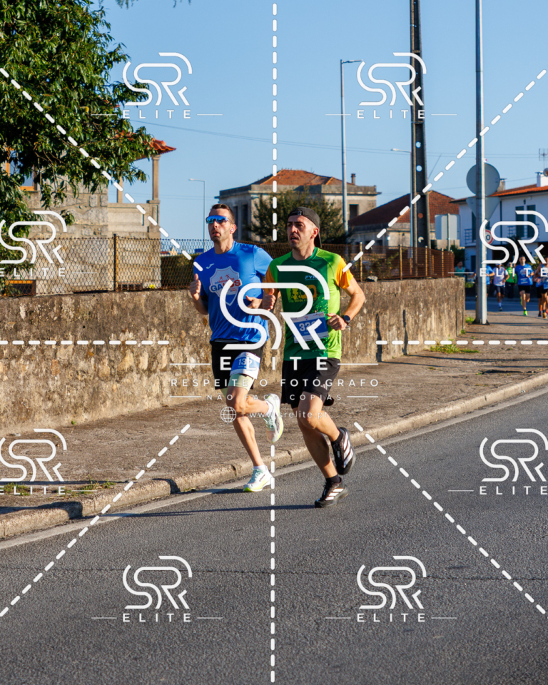 Preview com marca de água da fotografia galos-054