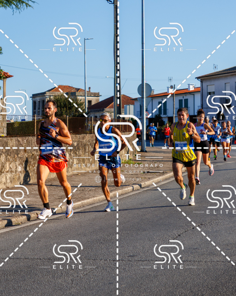 Preview com marca de água da fotografia galos-057