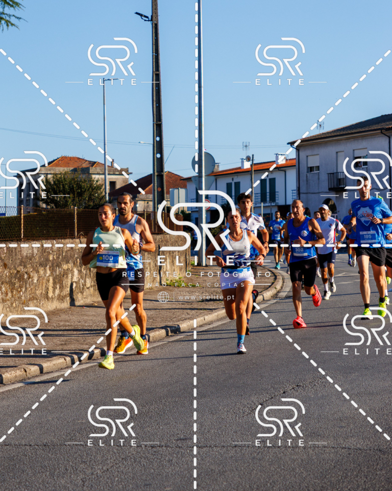 Preview com marca de água da fotografia galos-058