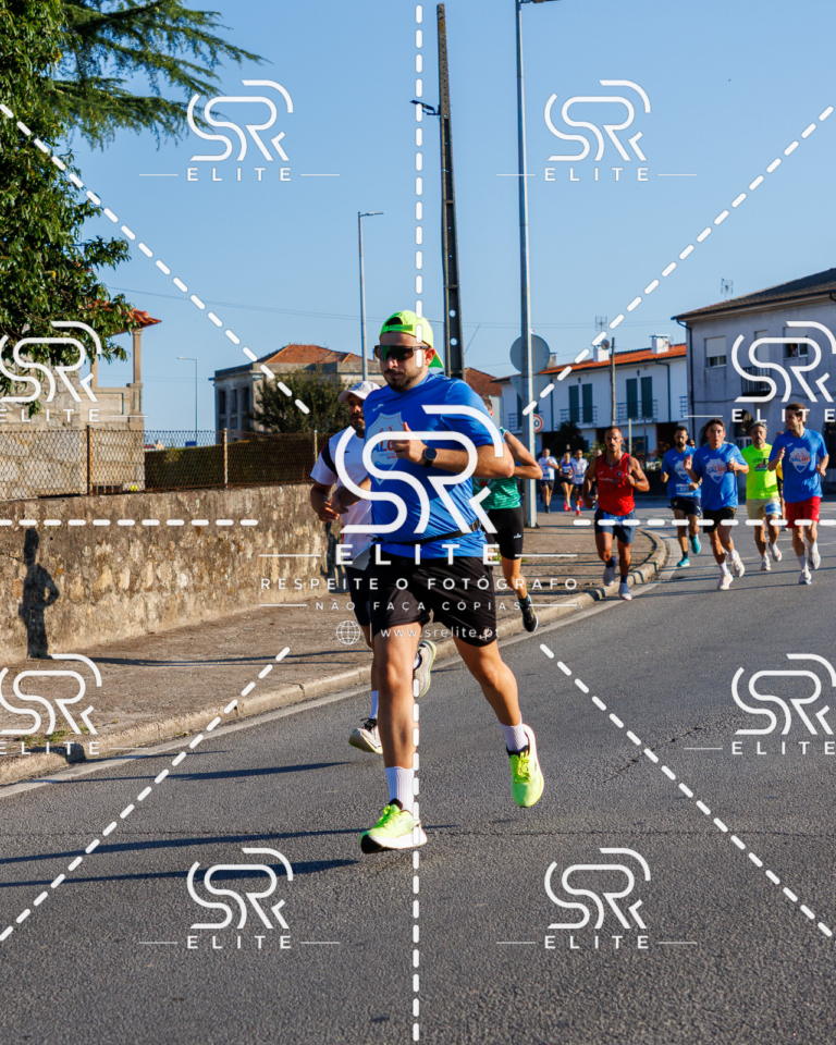 Preview com marca de água da fotografia galos-061