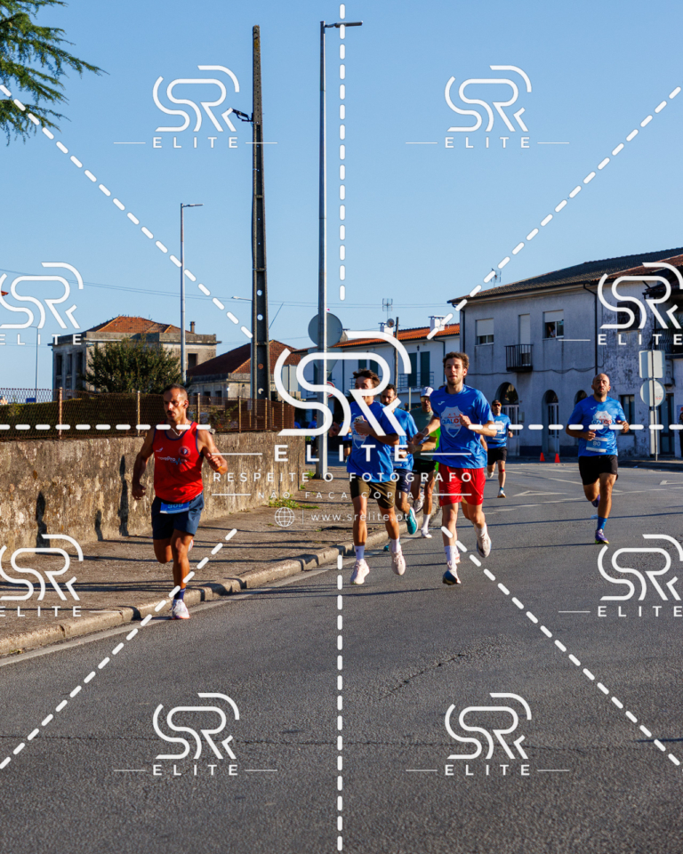 Preview com marca de água da fotografia galos-062