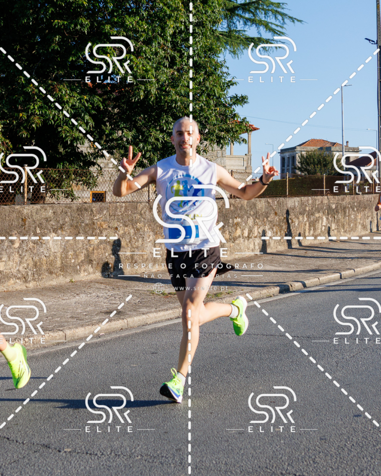 Preview com marca de água da fotografia galos-069