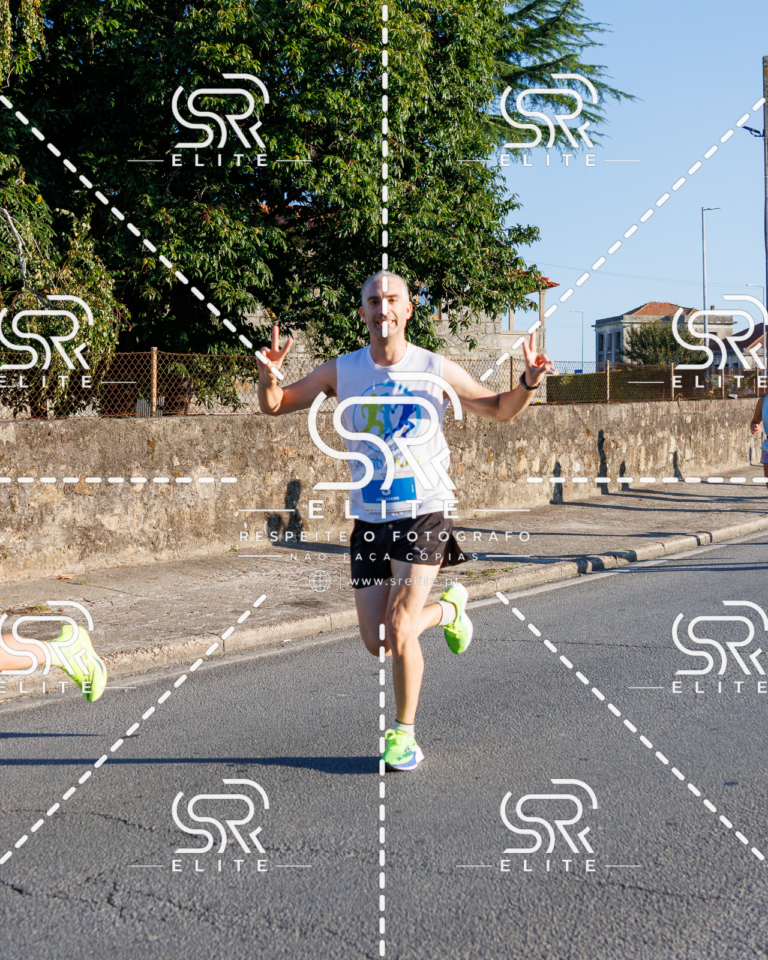 Preview com marca de água da fotografia galos-070