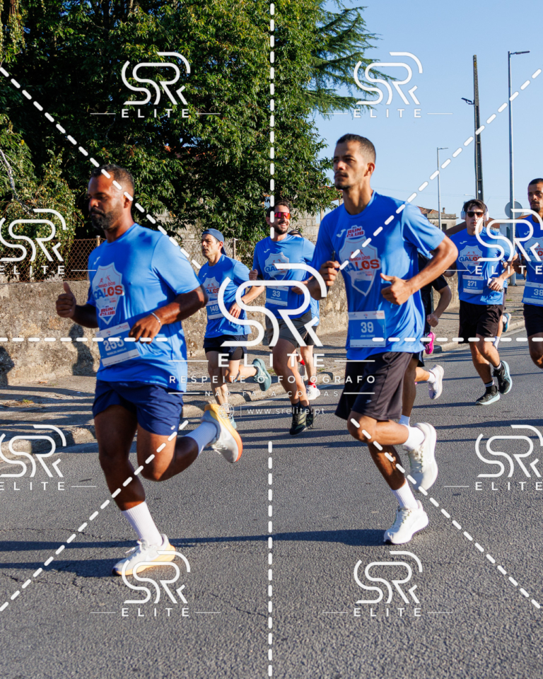 Preview com marca de água da fotografia galos-077