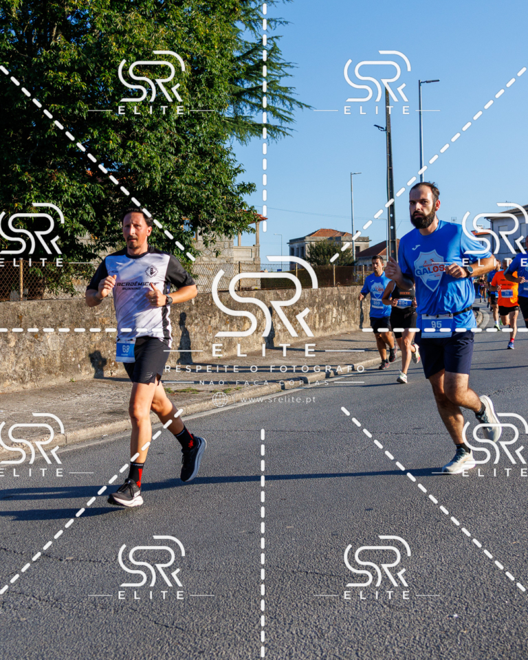 Preview com marca de água da fotografia galos-078