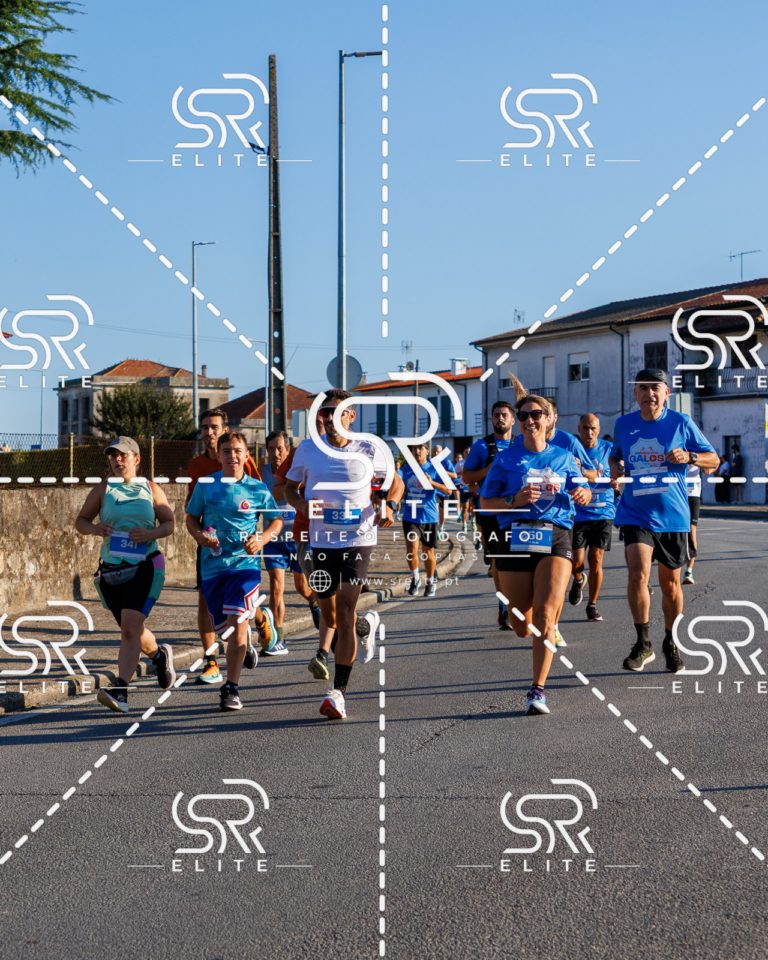 Preview com marca de água da fotografia galos-080