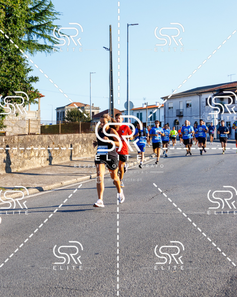 Preview com marca de água da fotografia galos-083