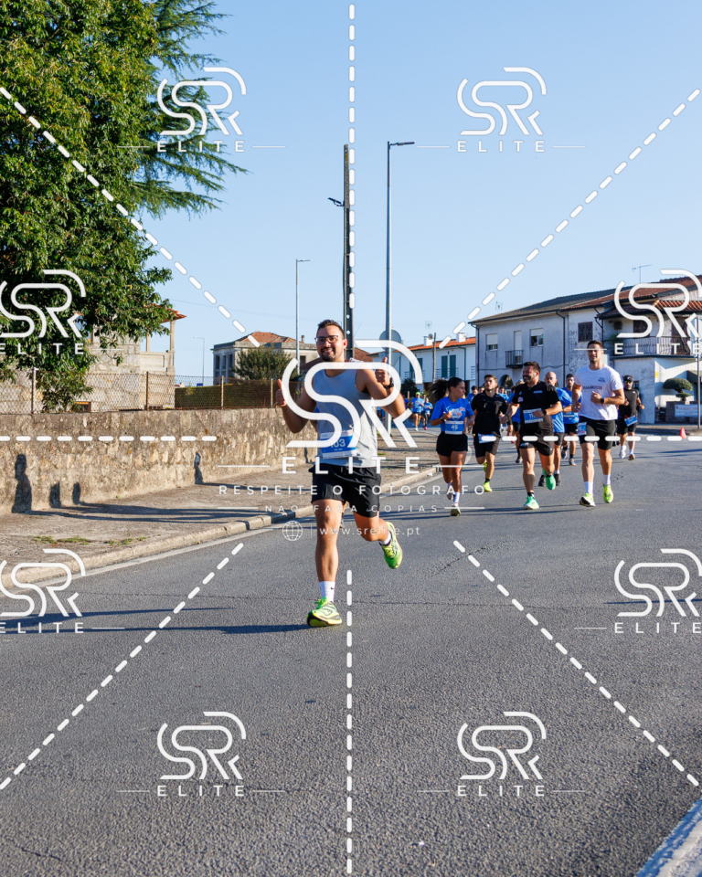 Preview com marca de água da fotografia galos-089