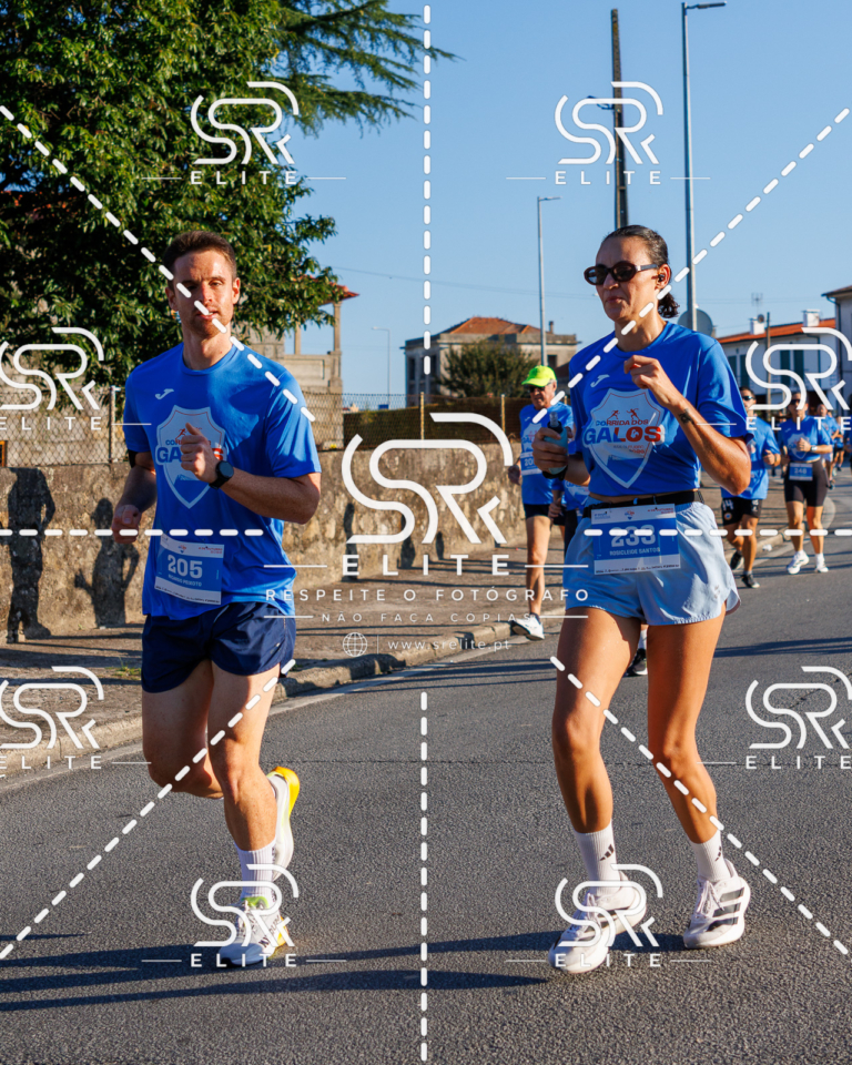 Preview com marca de água da fotografia galos-091
