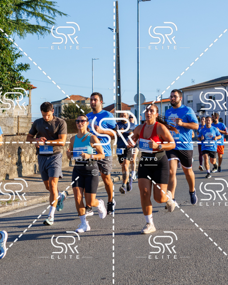 Preview com marca de água da fotografia galos-095
