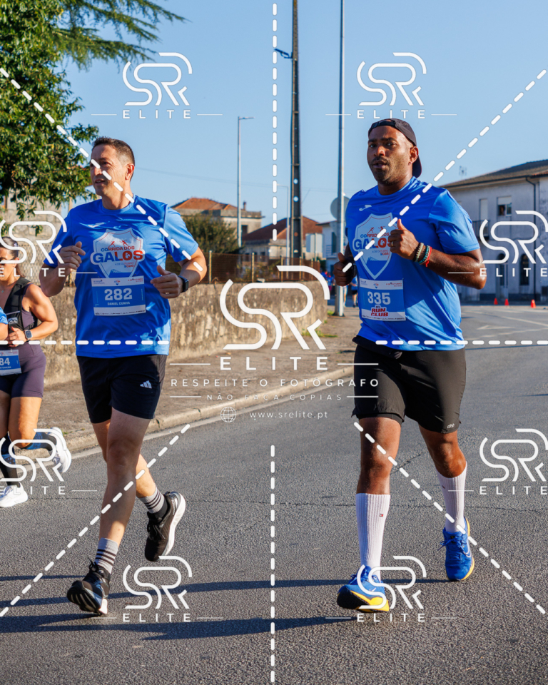 Preview com marca de água da fotografia galos-097
