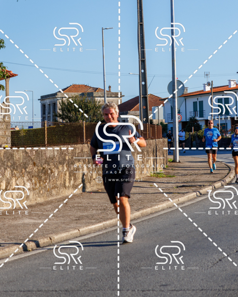 Preview com marca de água da fotografia galos-098