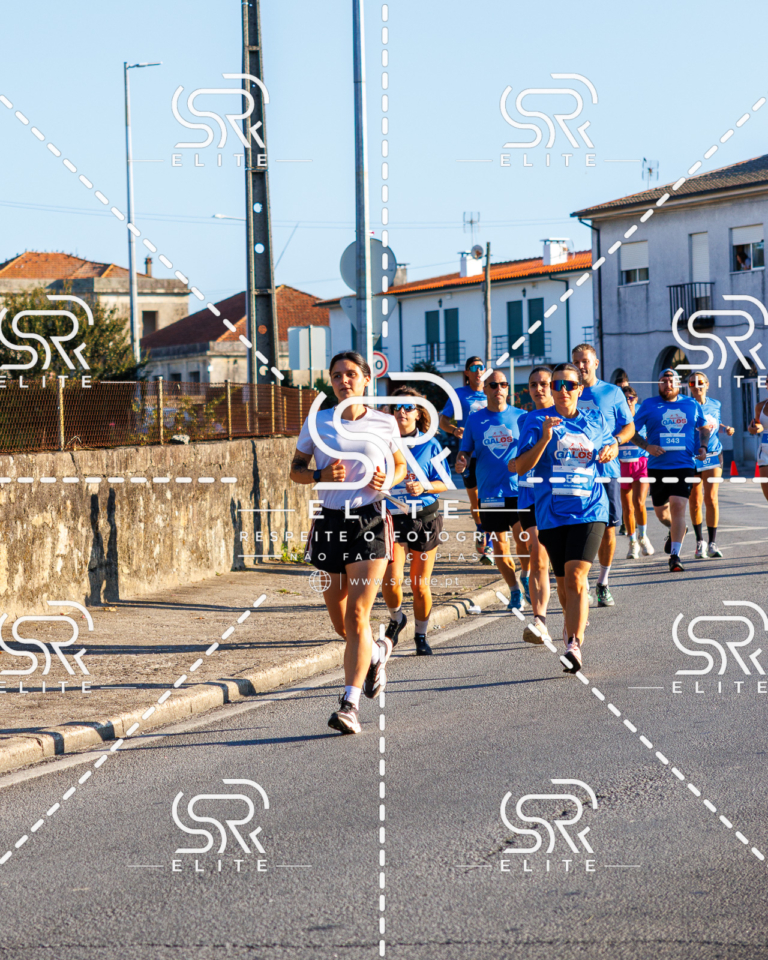 Preview com marca de água da fotografia galos-099
