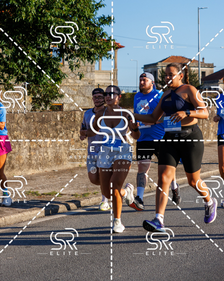 Preview com marca de água da fotografia galos-101