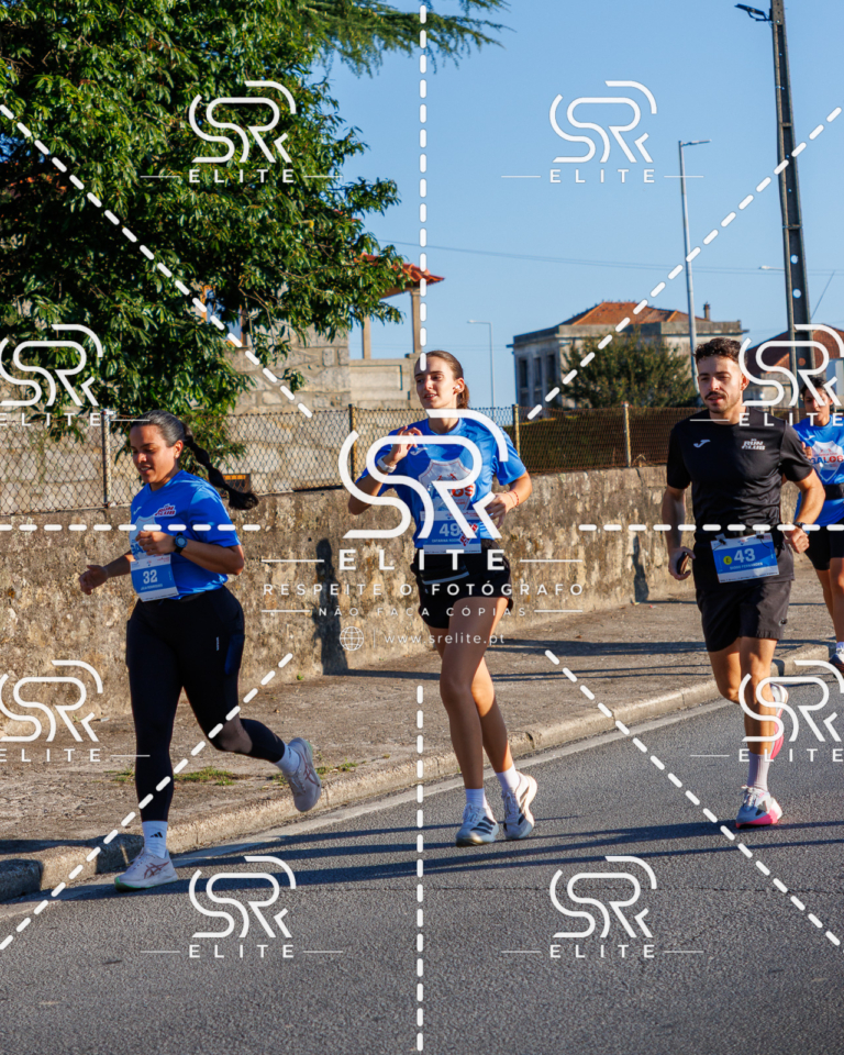 Preview com marca de água da fotografia galos-105