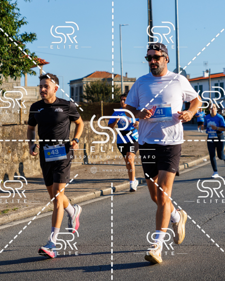 Preview com marca de água da fotografia galos-106