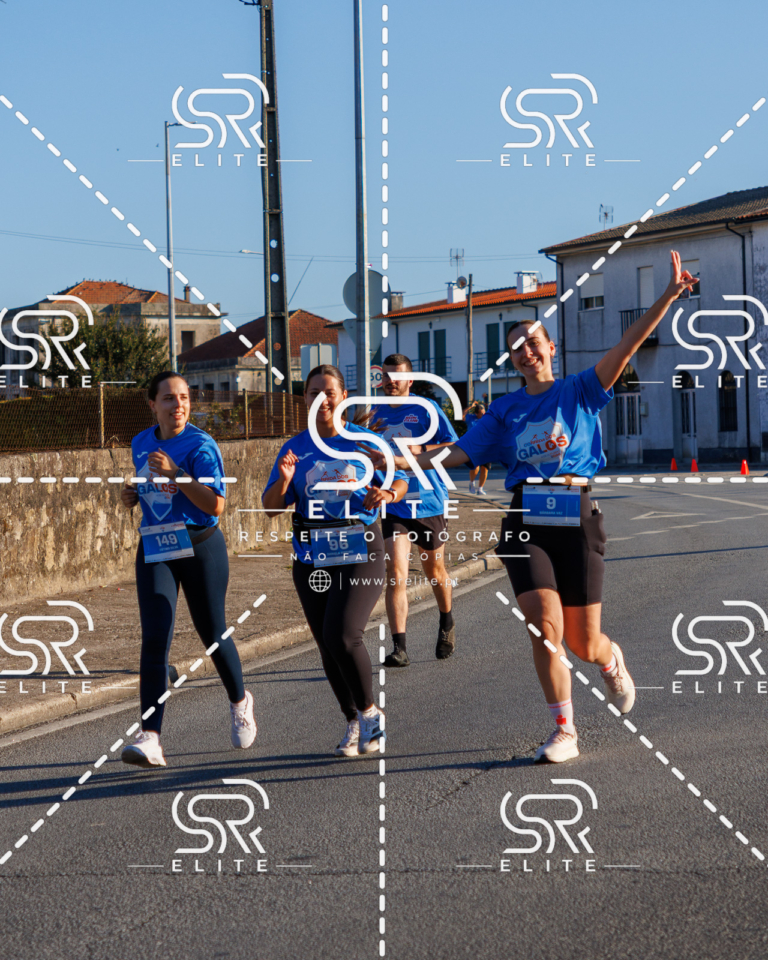Preview com marca de água da fotografia galos-107