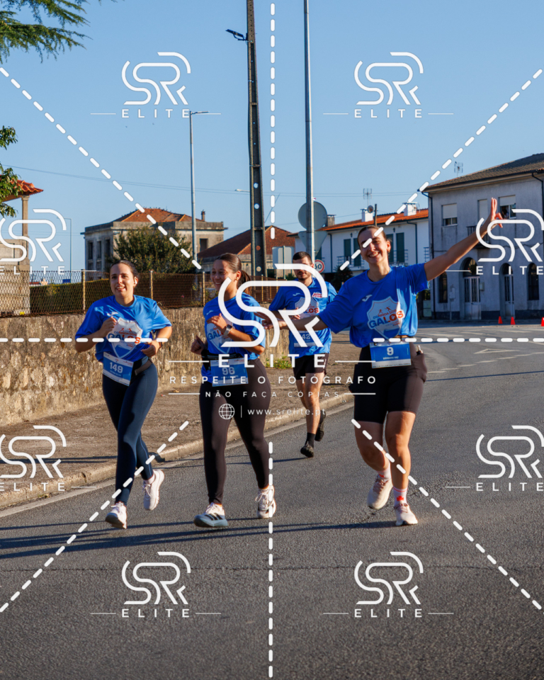 Preview com marca de água da fotografia galos-108