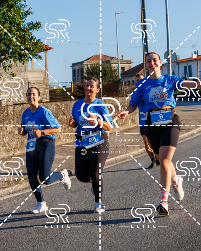 Preview com marca de água da fotografia galos-109