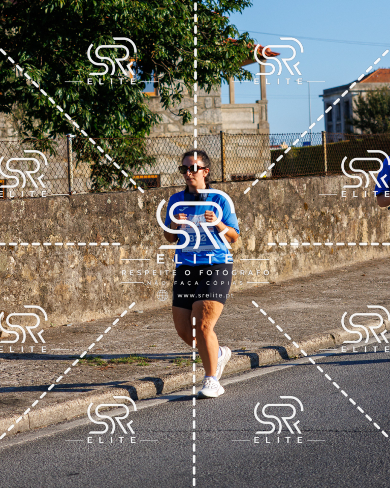 Preview com marca de água da fotografia galos-113