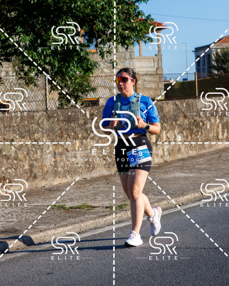 Preview com marca de água da fotografia galos-115