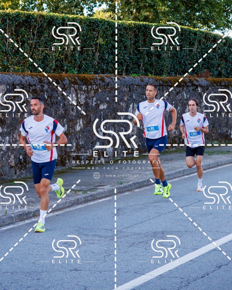Preview com marca de água da fotografia galos-122
