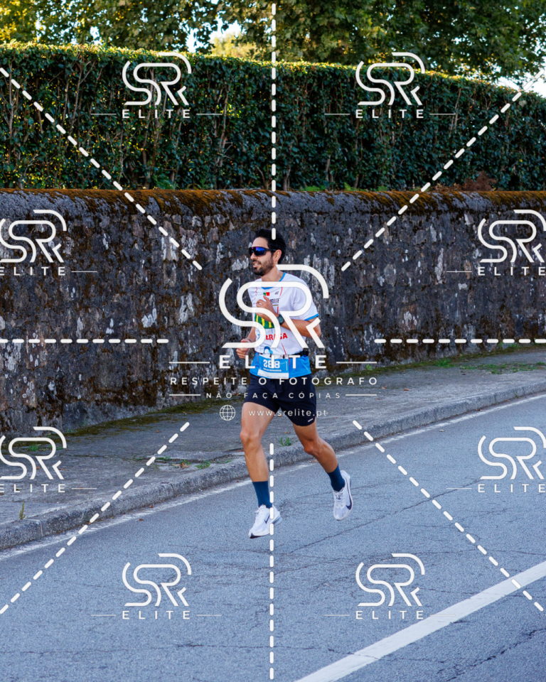 Preview com marca de água da fotografia galos-126