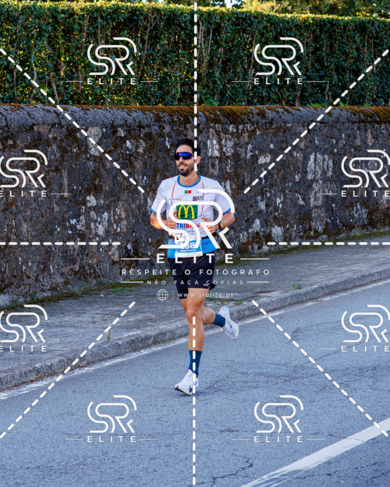 Preview com marca de água da fotografia galos-127