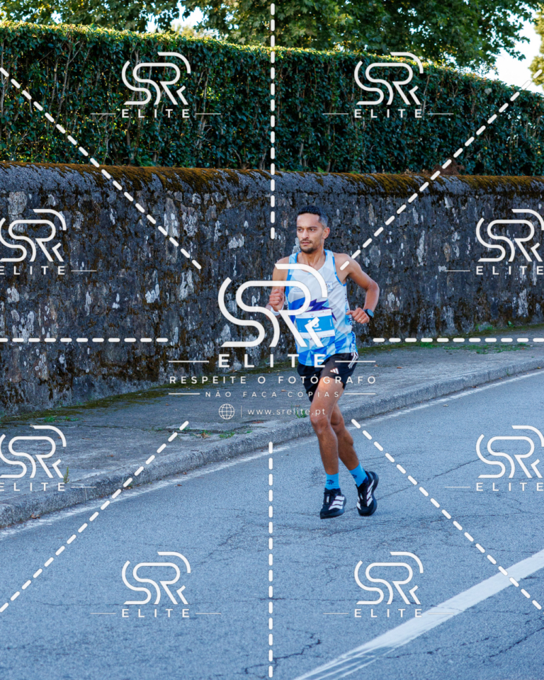 Preview com marca de água da fotografia galos-129
