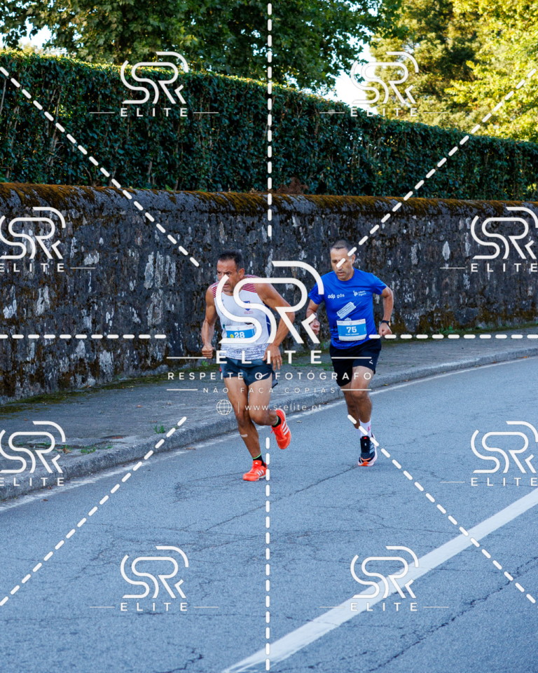 Preview com marca de água da fotografia galos-130
