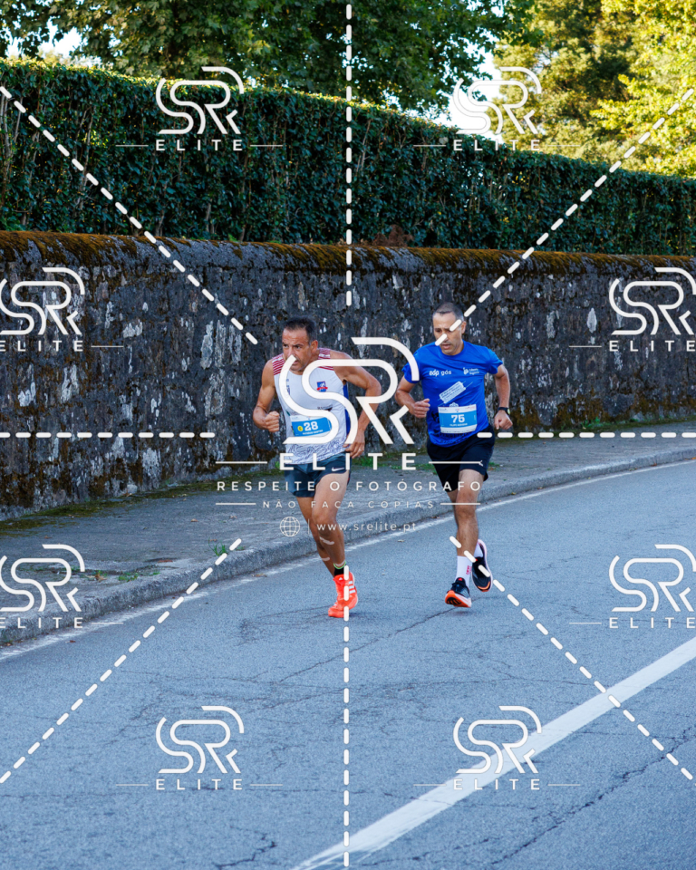 Preview com marca de água da fotografia galos-131
