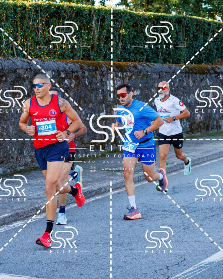 Preview com marca de água da fotografia galos-136