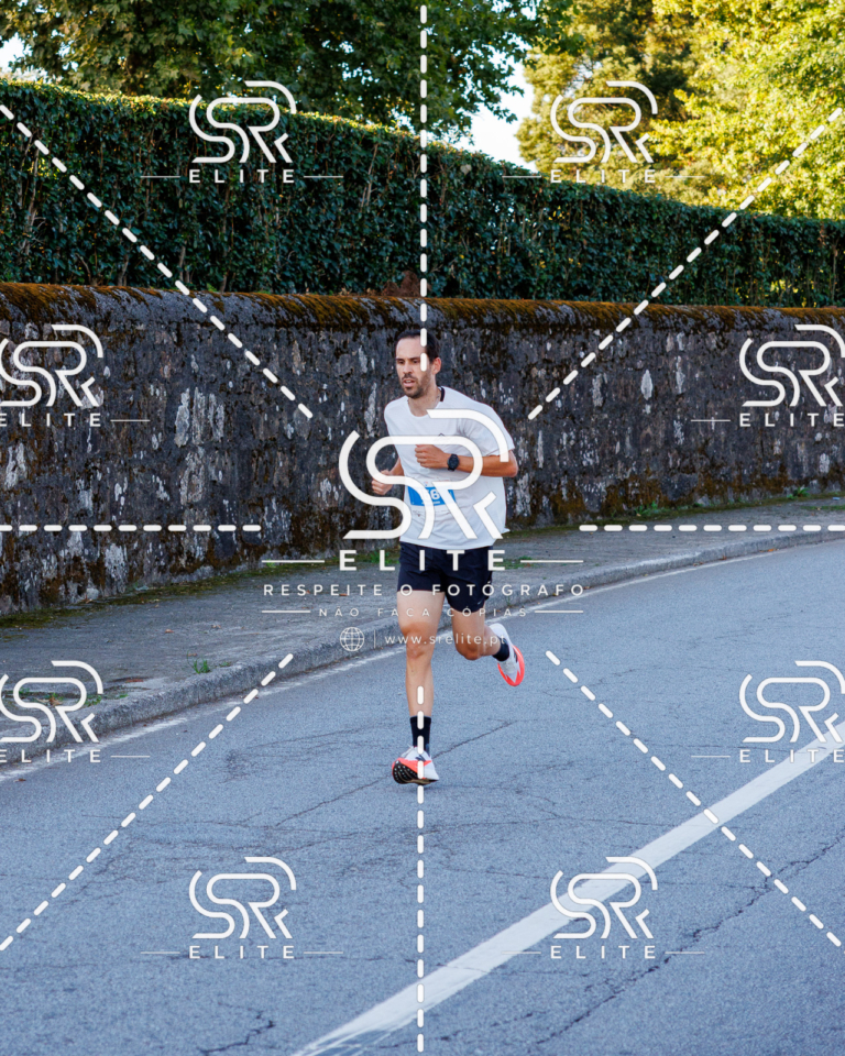 Preview com marca de água da fotografia galos-137